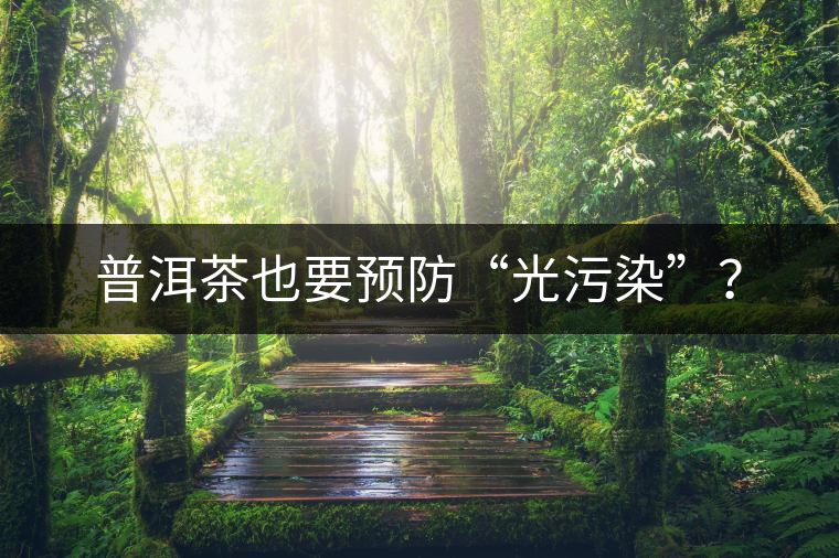 普洱茶也要預(yù)防“光污染”？