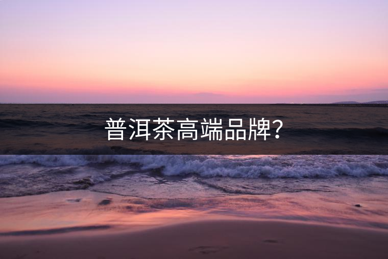 普洱茶高端品牌？