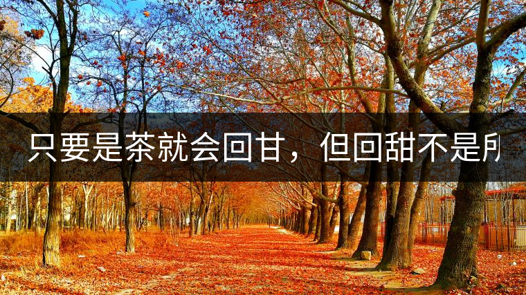 只要是茶就會回甘，但回甜不是所有茶都有！