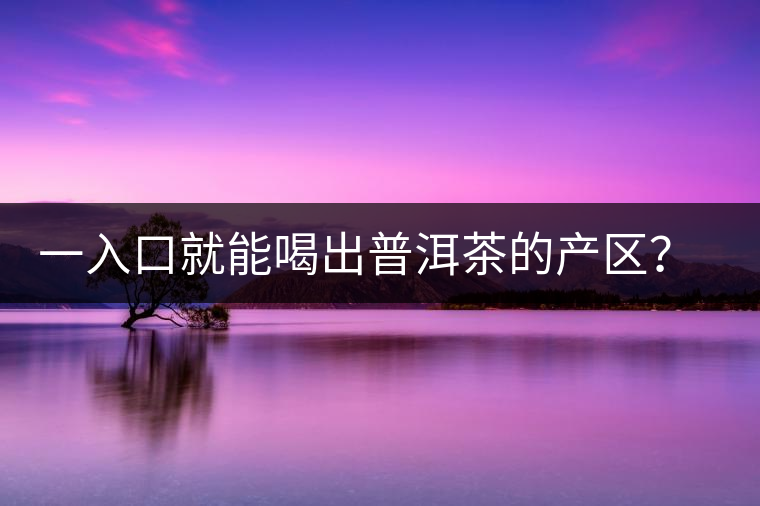 一入口就能喝出普洱茶的產(chǎn)區(qū)？怎么能不讀這篇文章呢？