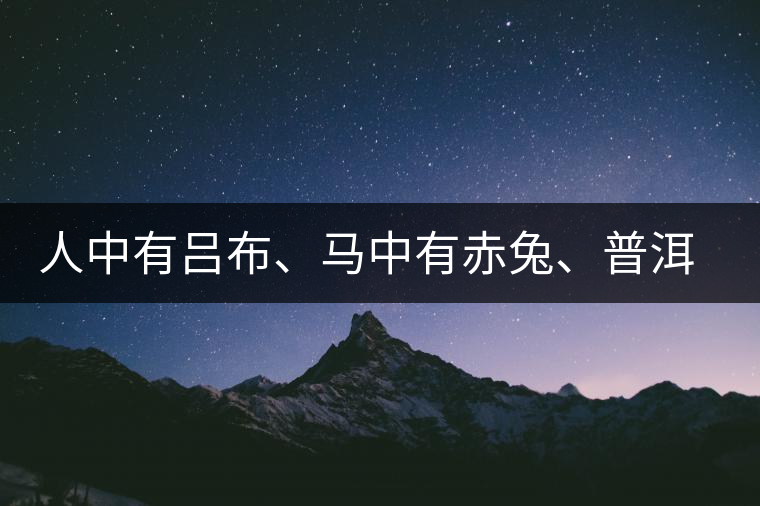 人中有呂布、馬中有赤兔、普洱中有茶化石：碎銀子！