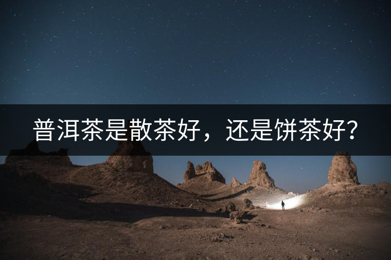 普洱茶是散茶好，還是餅茶好？