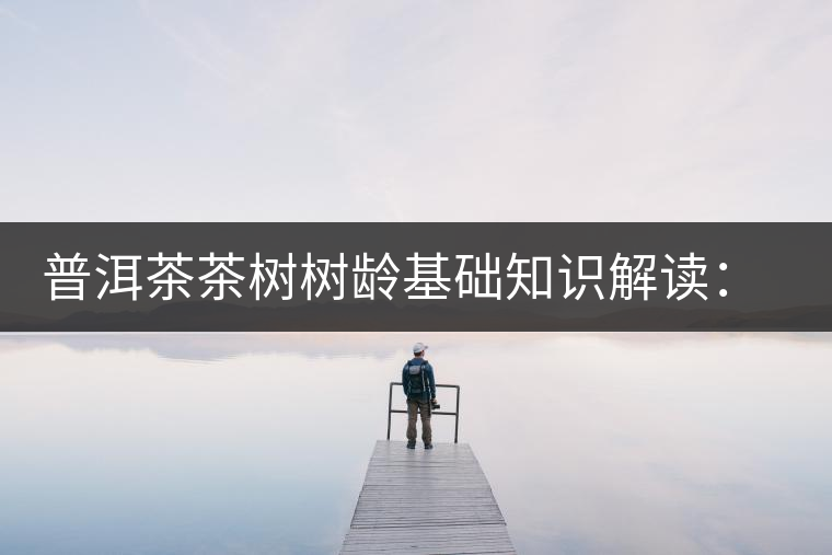 普洱茶茶樹樹齡基礎知識解讀：多大樹齡的茶才算古樹茶？