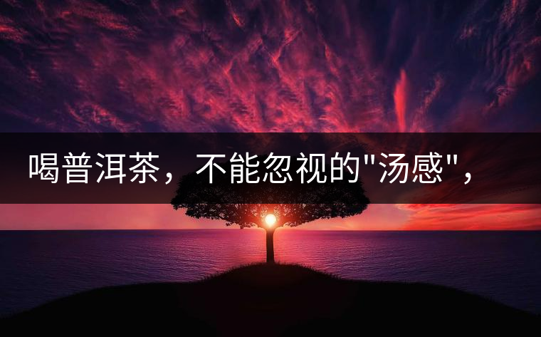 喝普洱茶，不能忽視的