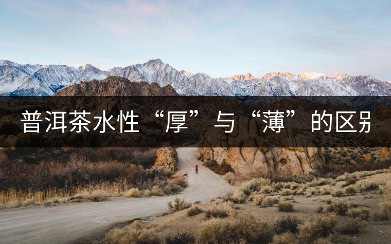 普洱茶水性“厚”與“薄”的區(qū)別！
