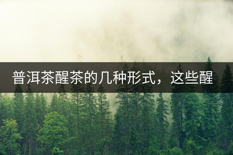 普洱茶醒茶的幾種形式，這些醒茶方法你都會了嗎？