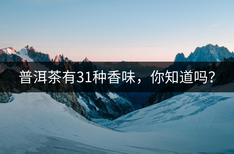 普洱茶有31種香味，你知道嗎？