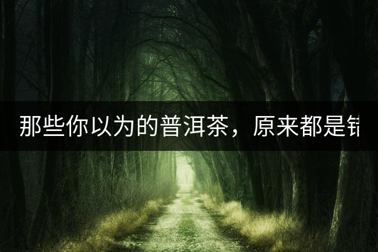 那些你以為的普洱茶，原來都是錯(cuò)的！