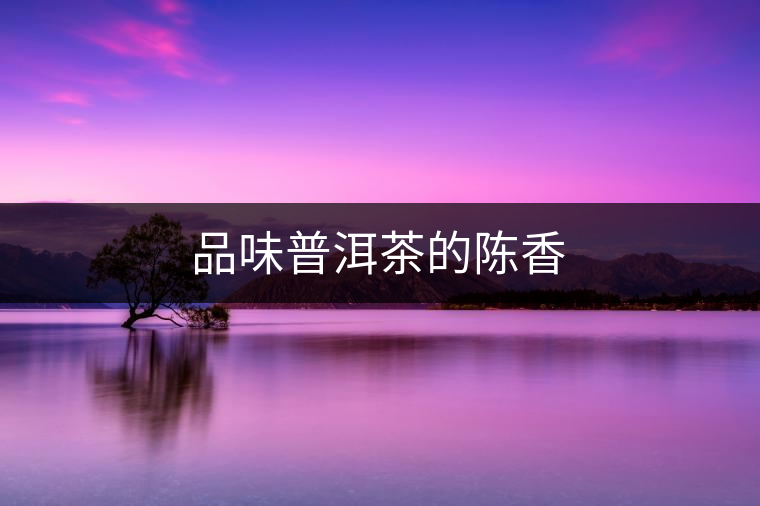 品味普洱茶的陳香