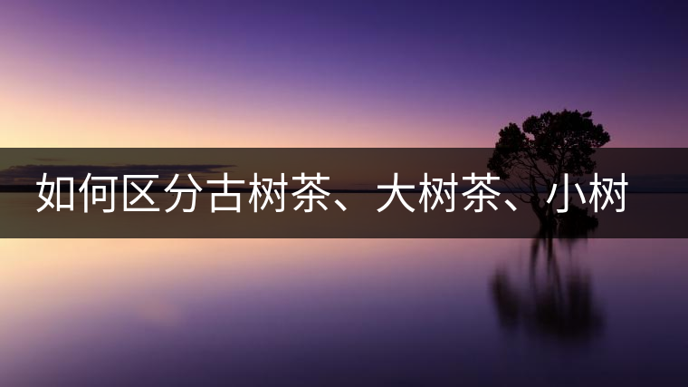 如何區(qū)分古樹(shù)茶、大樹(shù)茶、小樹(shù)茶、臺(tái)樹(shù)茶？