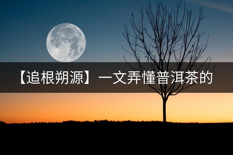 【追根朔源】一文弄懂普洱茶的定義和歸類(lèi) 【追根朔源】一文弄懂普洱茶的定義和歸類(lèi)