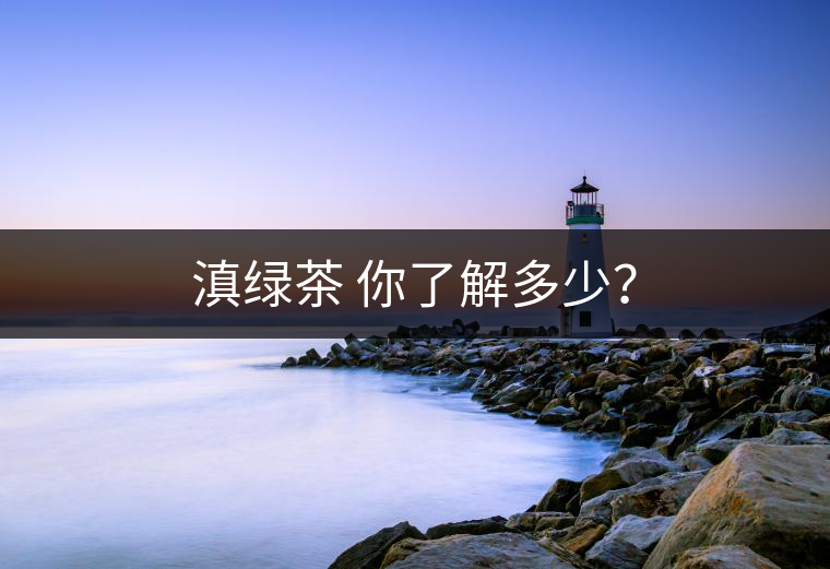 滇綠茶 你了解多少？