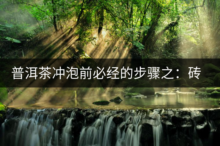 普洱茶沖泡前必經(jīng)的步驟之：磚茶如何撬？