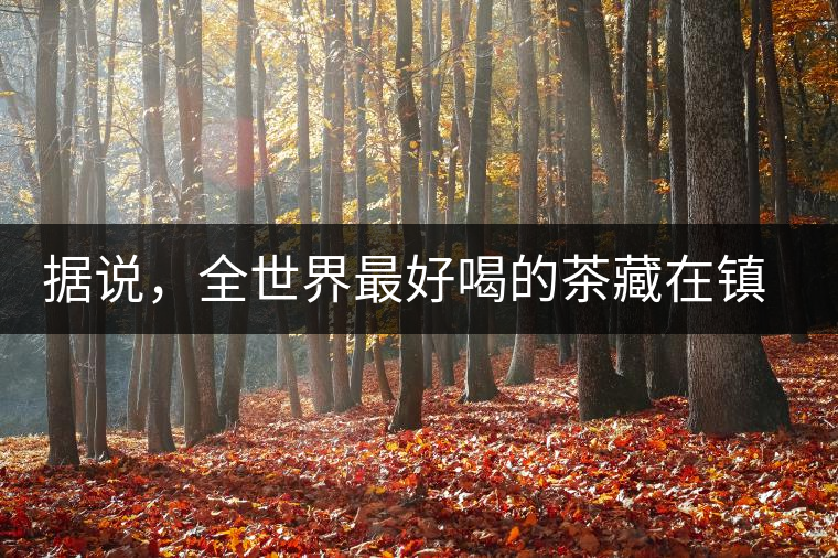 據(jù)說，全世界最好喝的茶藏在鎮(zhèn)沅