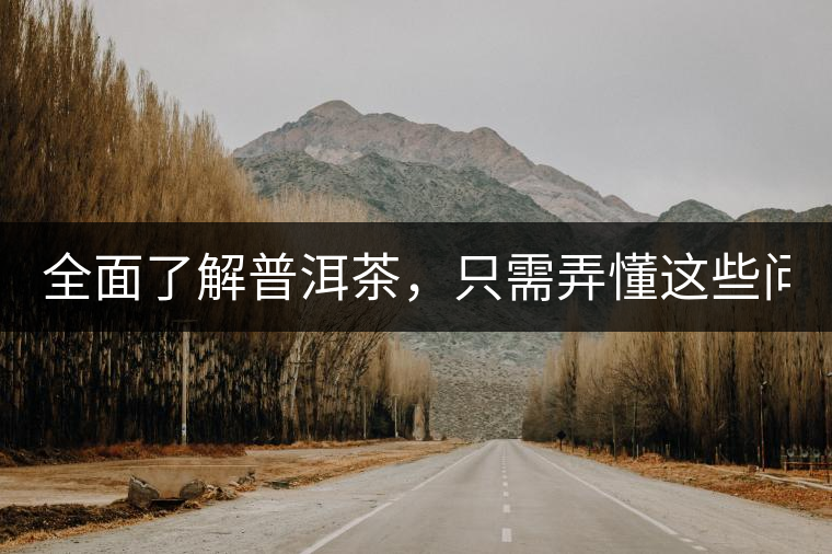 全面了解普洱茶，只需弄懂這些問(wèn)題！