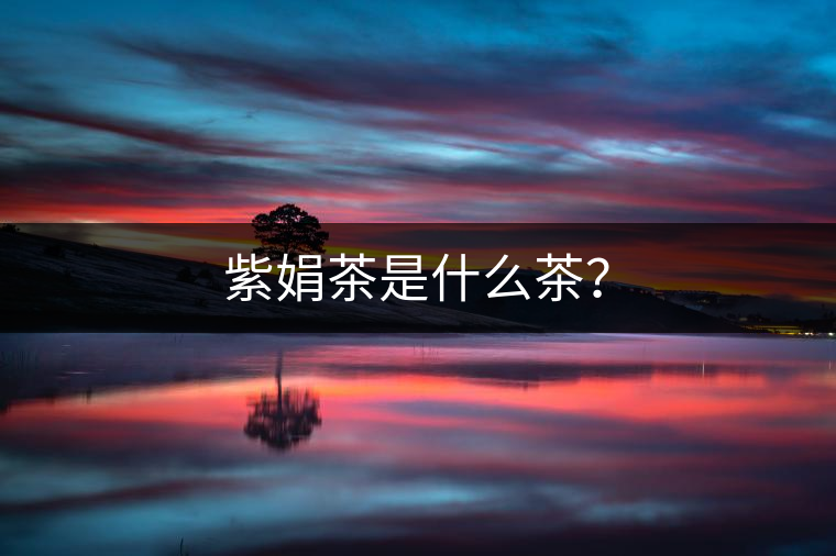 紫娟茶是什么茶？