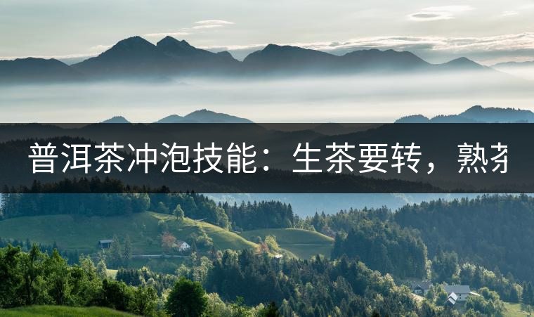 普洱茶沖泡技能：生茶要轉(zhuǎn)，熟茶要柔！