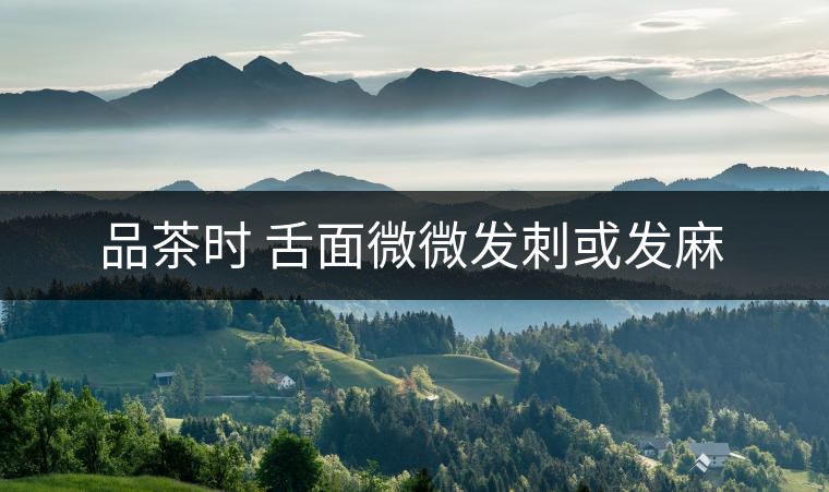 品茶時(shí) 舌面微微發(fā)刺或發(fā)麻 品茶時(shí) 舌面微微發(fā)刺或發(fā)麻