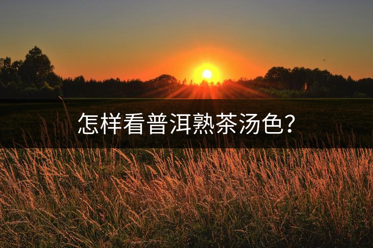 怎樣看普洱熟茶湯色？