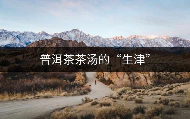 普洱茶茶湯的“生津”