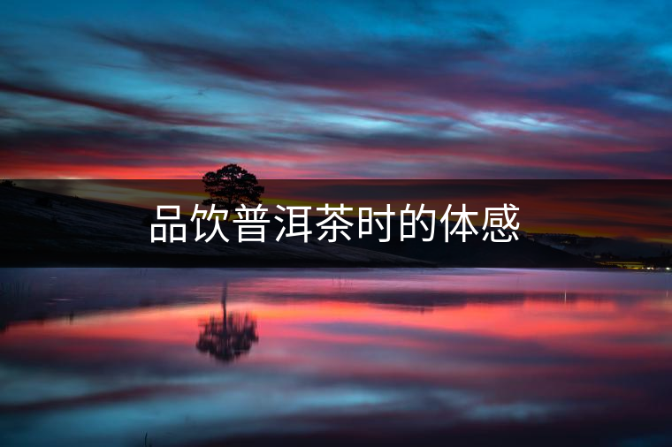 品飲普洱茶時的體感 品飲普洱茶時的體感