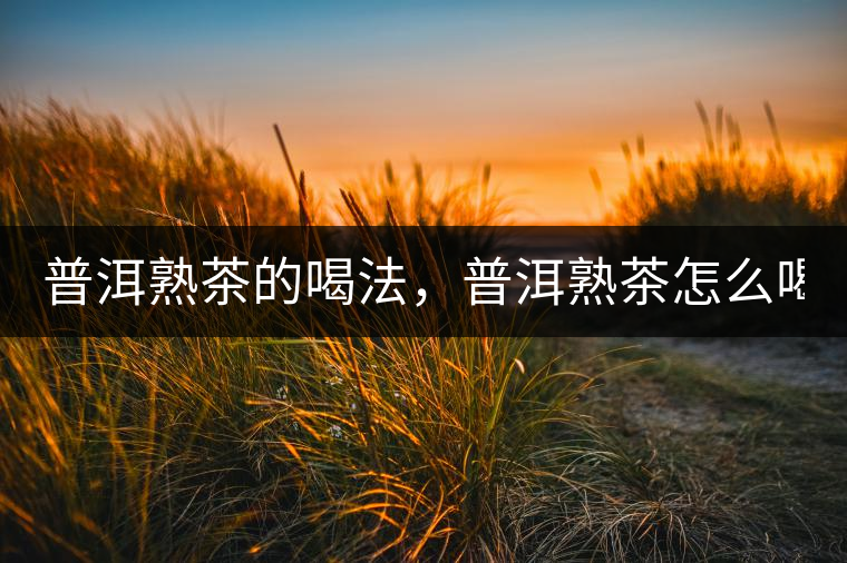 普洱熟茶的喝法，普洱熟茶怎么喝？