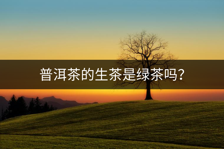 普洱茶的生茶是綠茶嗎？