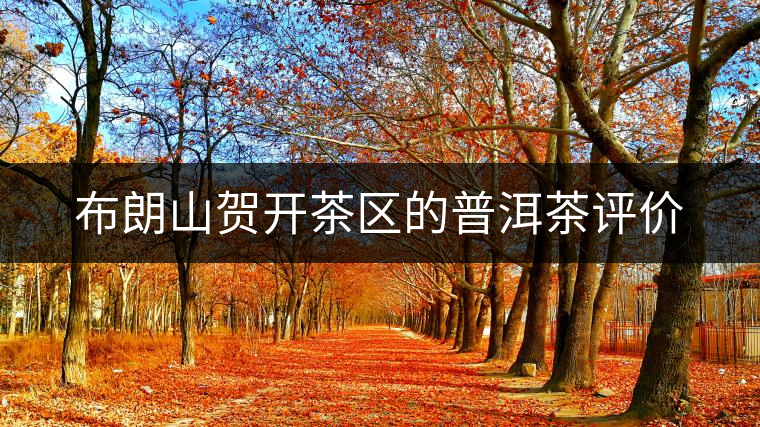 布朗山賀開茶區(qū)的普洱茶評(píng)價(jià)