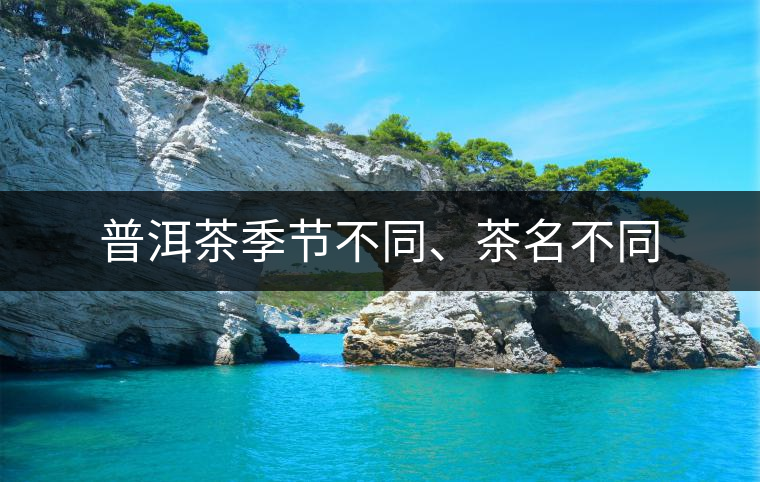 普洱茶季節(jié)不同、茶名不同