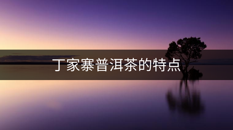 丁家寨普洱茶的特點 丁家寨普洱茶的特點