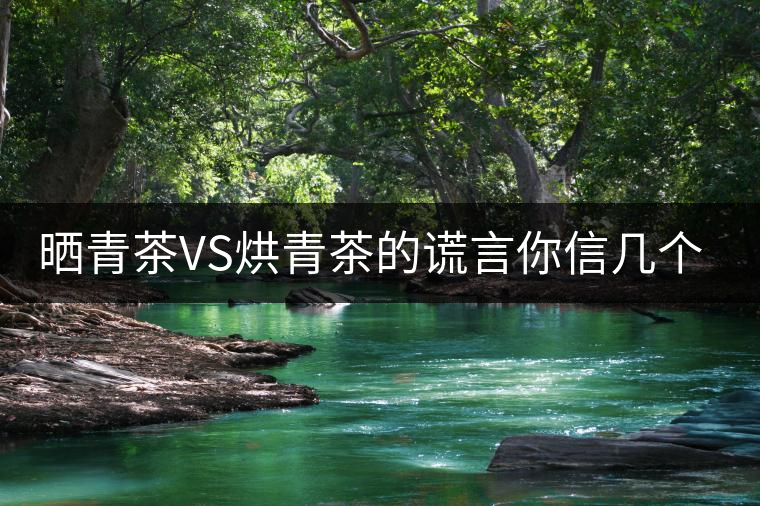 曬青茶VS烘青茶的謊言你信幾個？