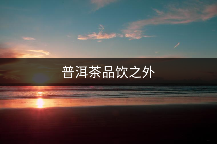 普洱茶品飲之外