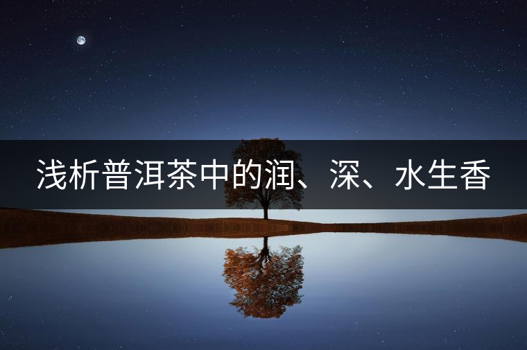 淺析普洱茶中的潤、深、水生香