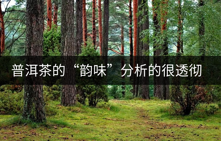 普洱茶的“韻味”分析的很透徹值得收藏