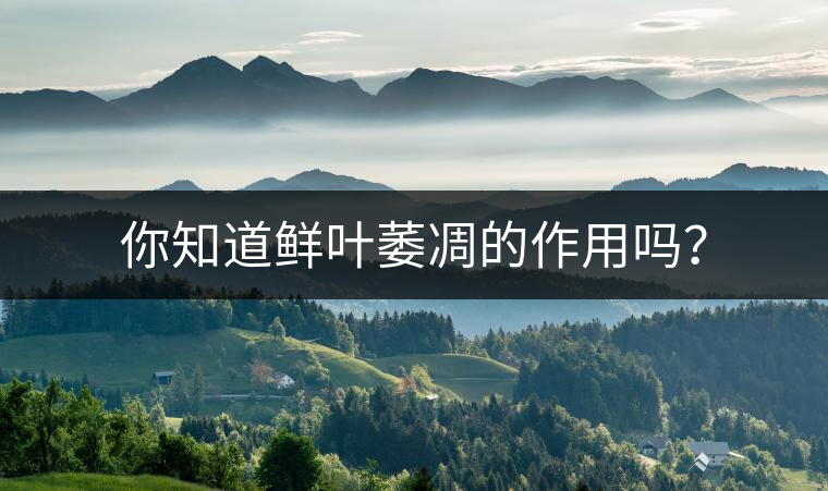 你知道鮮葉萎凋的作用嗎？