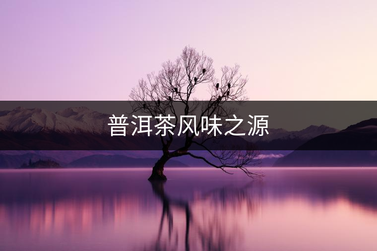 普洱茶風味之源
