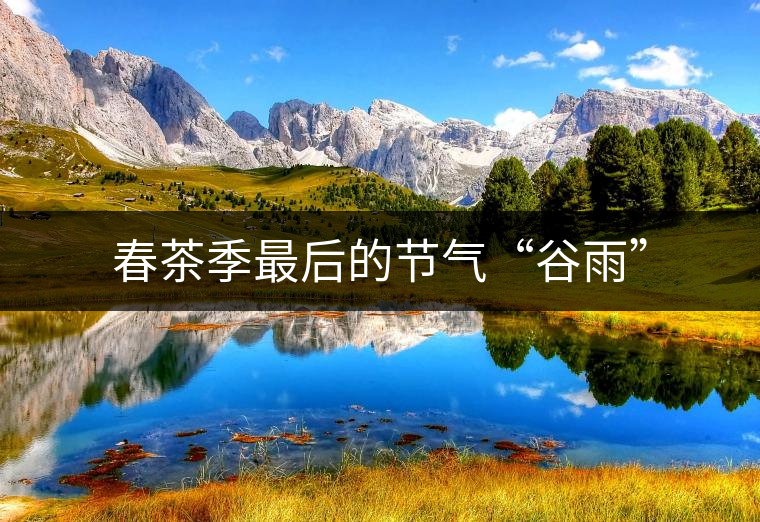 春茶季最后的節(jié)氣“谷雨” 春茶季最后的節(jié)氣“谷雨”