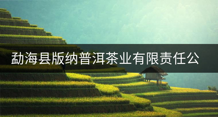 勐?？h版納普洱茶業(yè)有限責(zé)任公司