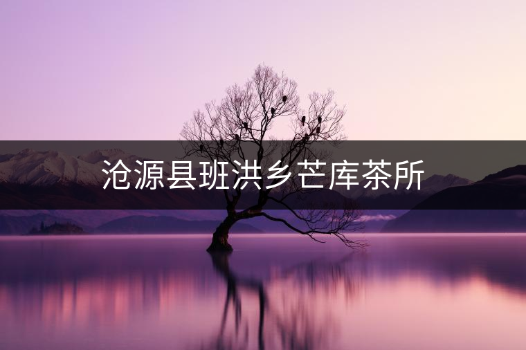 滄源縣班洪鄉(xiāng)芒庫(kù)茶所