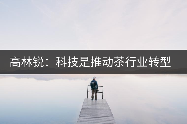 高林銳：科技是推動(dòng)茶行業(yè)轉(zhuǎn)型的最大動(dòng)力