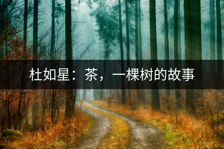 杜如星：茶，一棵樹的故事