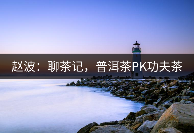 趙波：聊茶記，普洱茶PK功夫茶