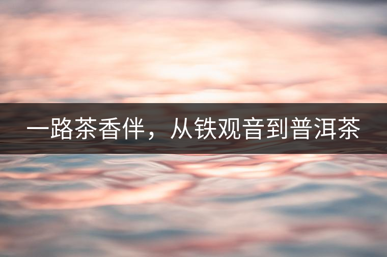 一路茶香伴，從鐵觀音到普洱茶