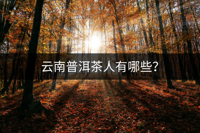云南普洱茶人有哪些？