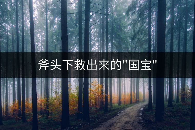 斧頭下救出來(lái)的