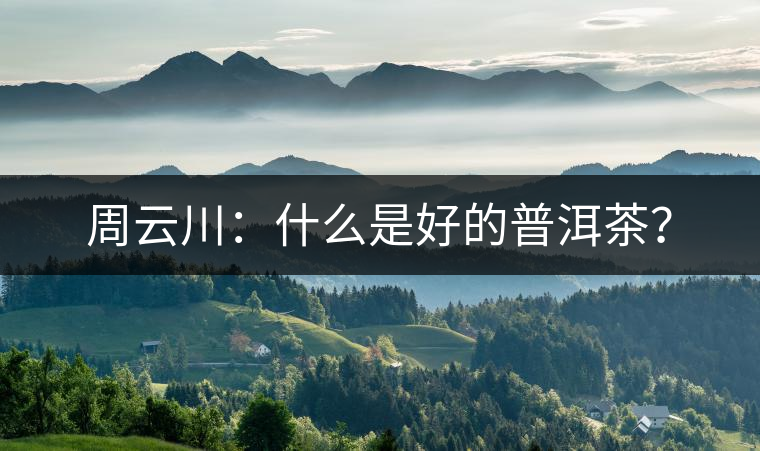 周云川：什么是好的普洱茶？