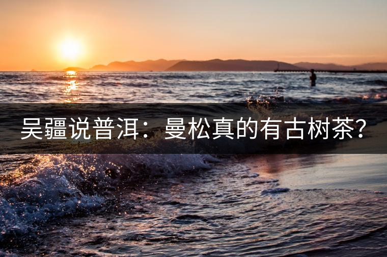 吳疆說(shuō)普洱：曼松真的有古樹茶？