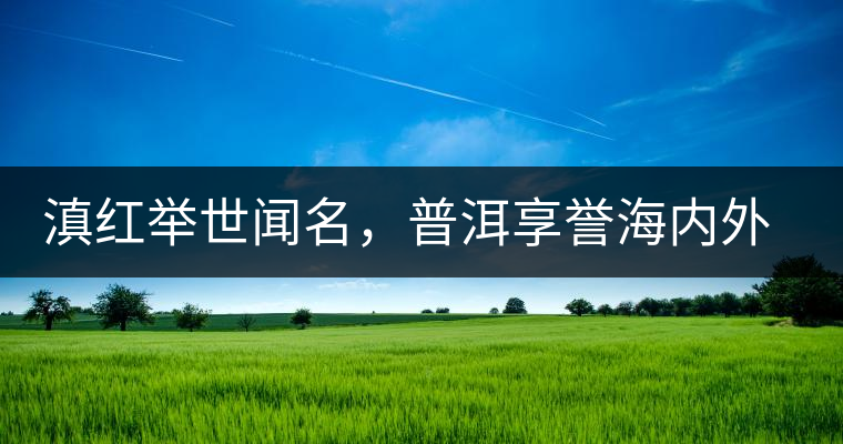 滇紅舉世聞名，普洱享譽海內(nèi)外丨專家座談——虞富蓮