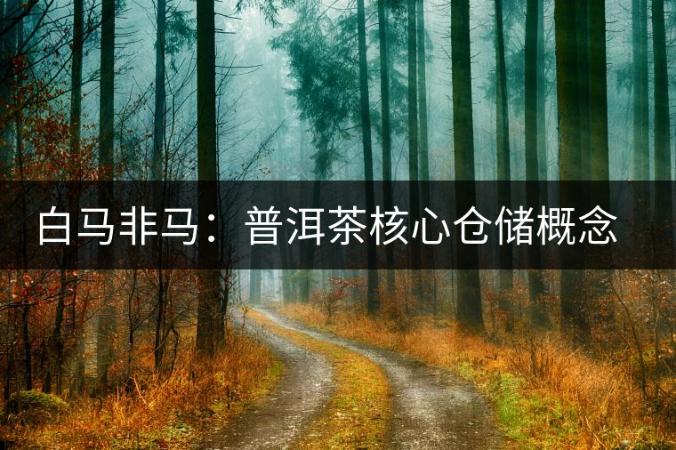 白馬非馬：普洱茶核心倉儲(chǔ)概念辨識(shí)與斷代