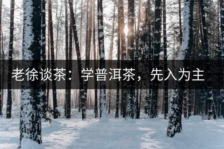 老徐談茶：學(xué)普洱茶，先入為主易被打臉，還得實(shí)踐出真知！